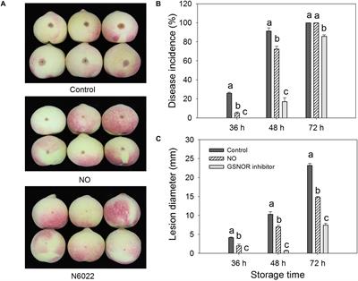 Exogenous Nitric Oxide Enhances Disease Resistance by Nitrosylation and Inhibition of <mark class="highlighted">S-Nitrosoglutathione</mark> Reductase in Peach Fruit